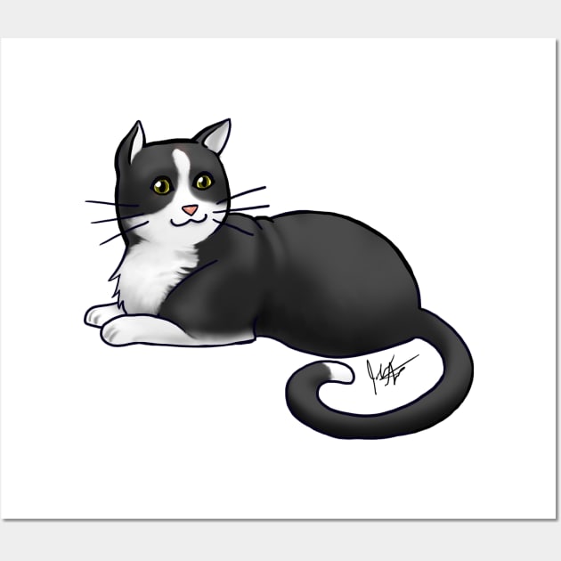 Cat American Shorthair Tuxedo American Shorthair Posters